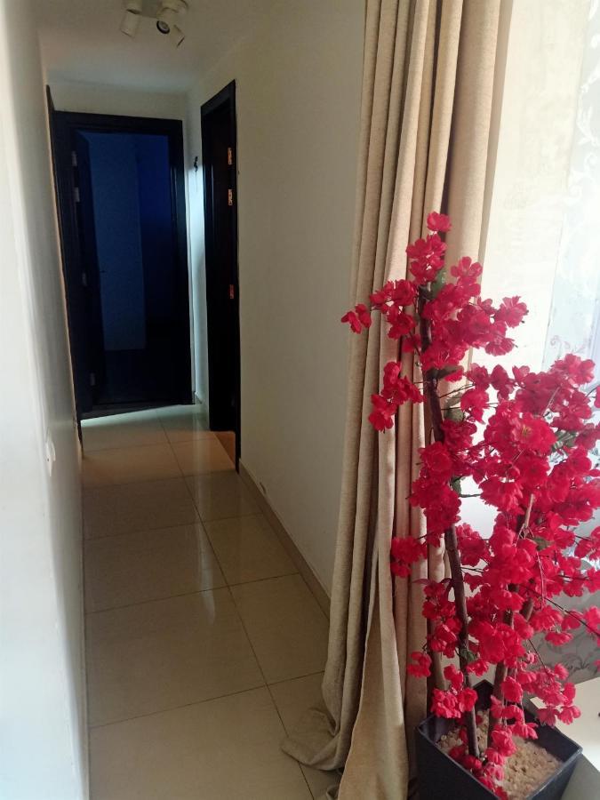Fully Furnished Apartment At Ocean Blue Compound Kairo Eksteriør bilde